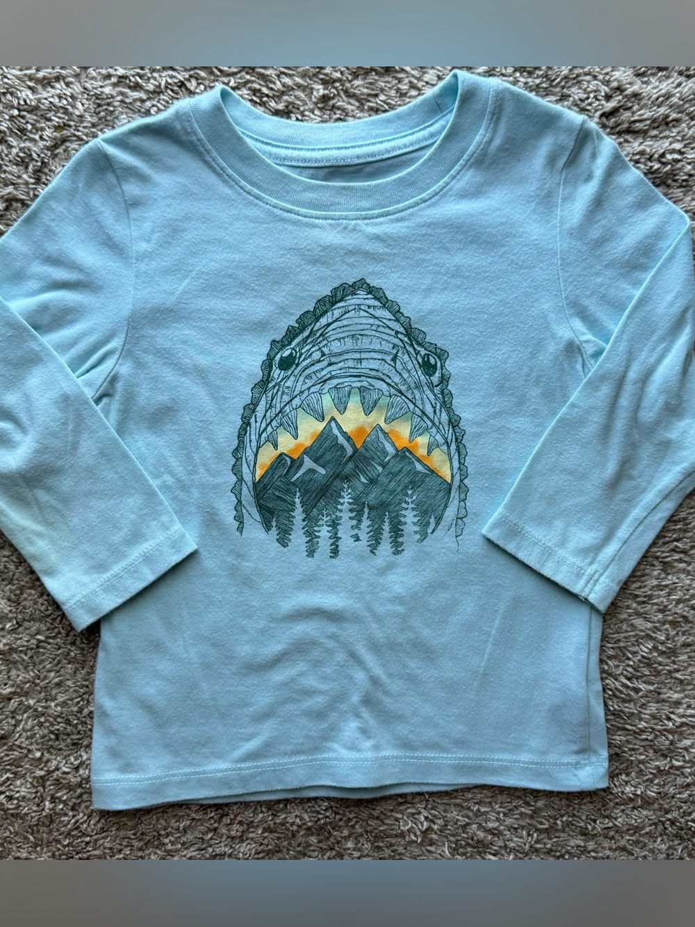 Cat & Jack Shark Jaw Mountain Graphic Long Sleeve Tee 18M Light Blue